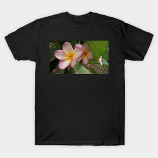 Frangipani's and Ant T-Shirt